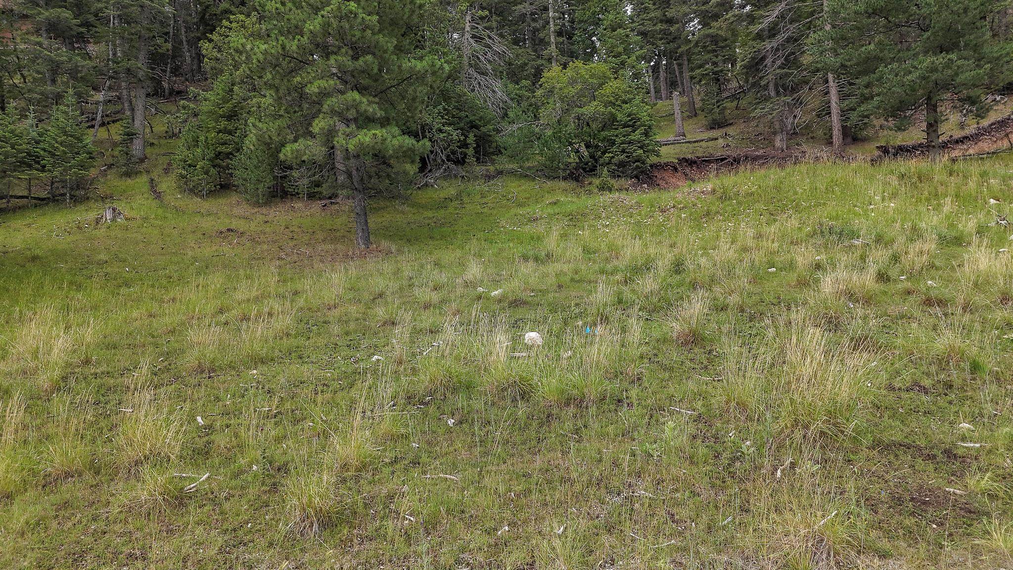 Lot 40 Trading Post Road Cloudcroft, NM 88317 - Photo 8 of 12 Gallery Image 8