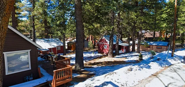 outdoor space with lots of trees