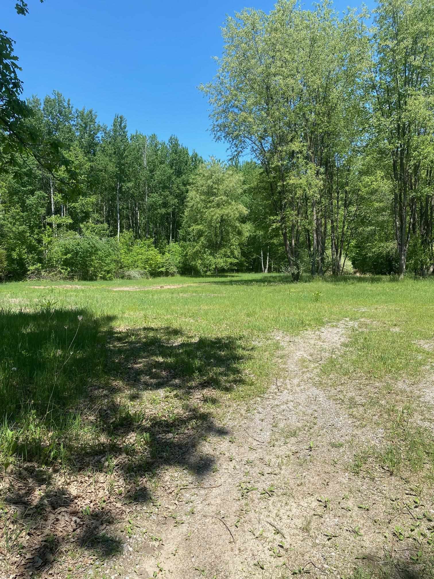 3302 Dana Road Coleman, MI 48618 - Photo 44 of 50