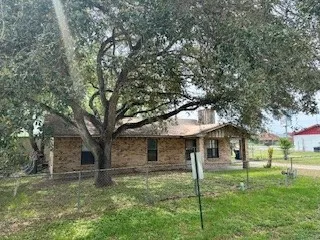 a view of a yard in front of a house with plants and large tree
