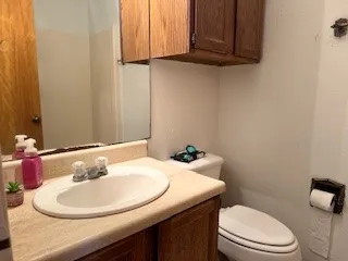 a bathroom with a sink a toilet and a mirror