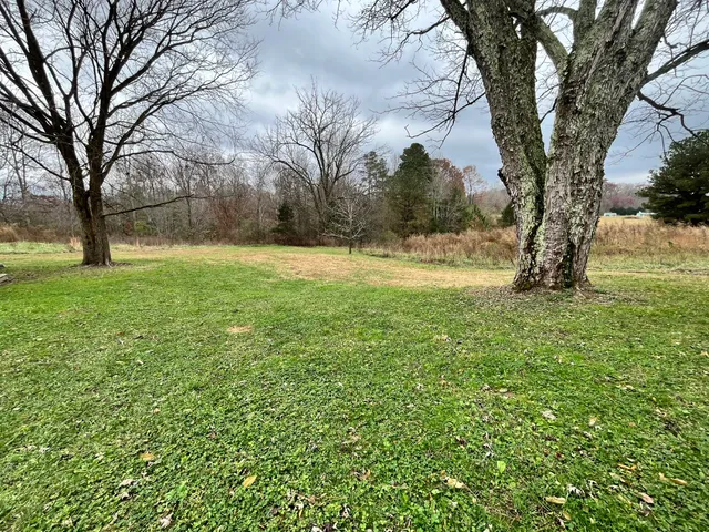 a view of yard with green space
