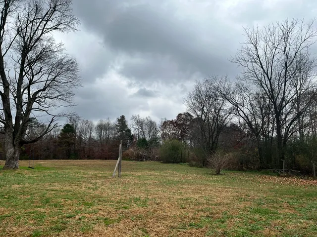 a backyard of a house with lots of green space