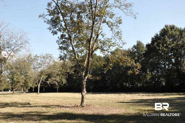 303 Greeno Road Fairhope, AL 36532 - Photo 9 of 9 Additional View 7