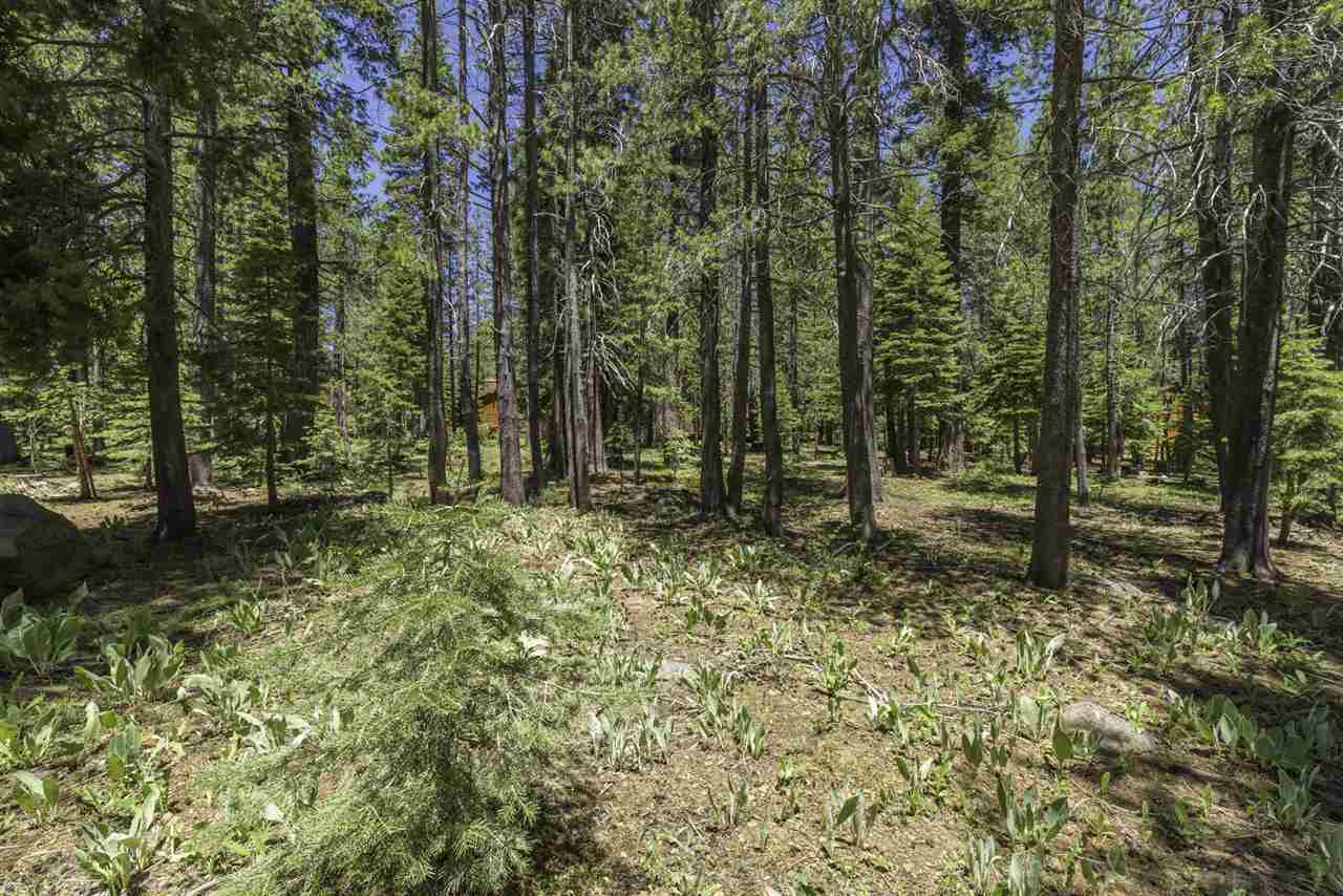 11516 Sun Valley Road Truckee, CA 96161 - Photo 4 of 21 Gallery Image 4