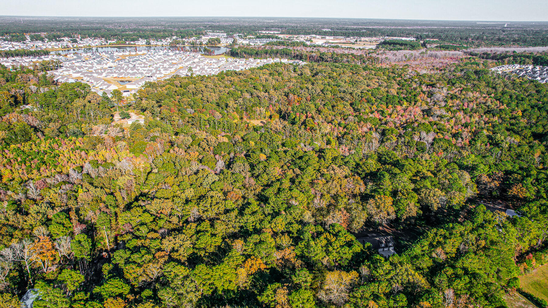 240 Groomsville Road Moncks Corner, SC 29461 - Photo 87 of 101 DV-101