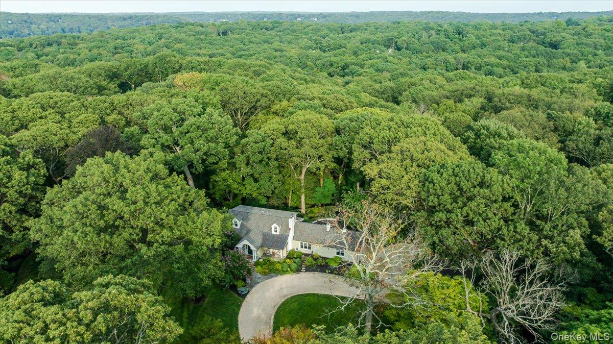 203 Sunset Road Syosset, NY 11791 - Photo 37 of 37