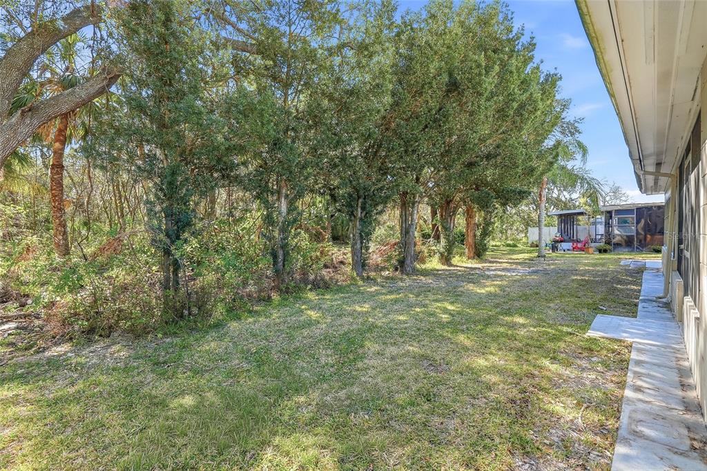 4860 Shell Stream Boulevard New Port Richey, FL 34652 - Photo 32 of 46