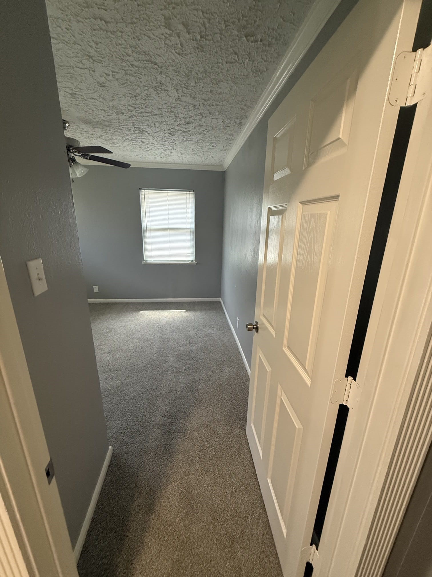 5218 Cortelyou Lane Houston, TX 77021 - Photo 8 of 20 Gallery Image 8