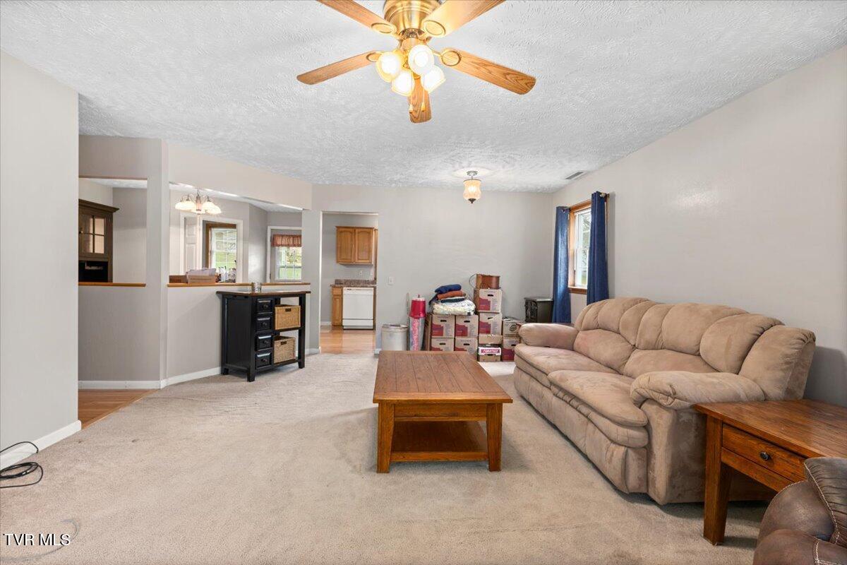 1301 Slimp Branch Road Mountain City, TN 37683 - Photo 14 of 35 17-128A7158