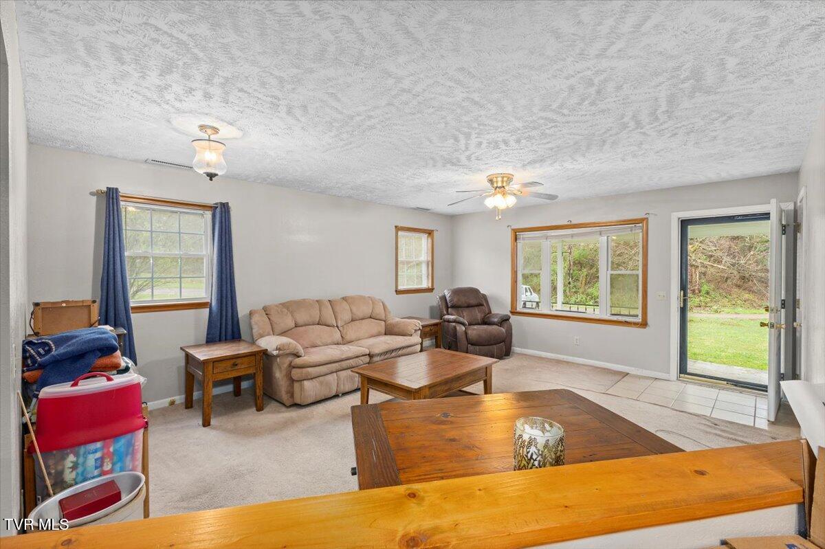 1301 Slimp Branch Road Mountain City, TN 37683 - Photo 15 of 35 20-128A7170