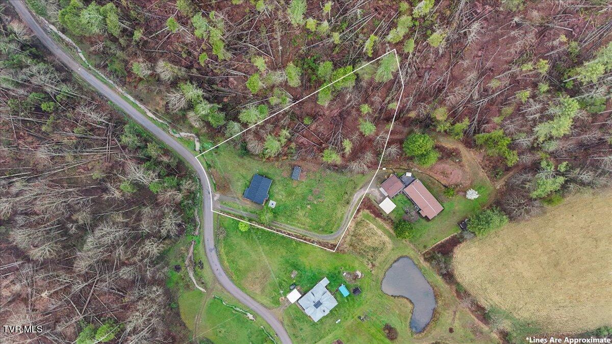 1301 Slimp Branch Road Mountain City, TN 37683 - Photo 10 of 35 03-DJI_20230724071603_0266_D