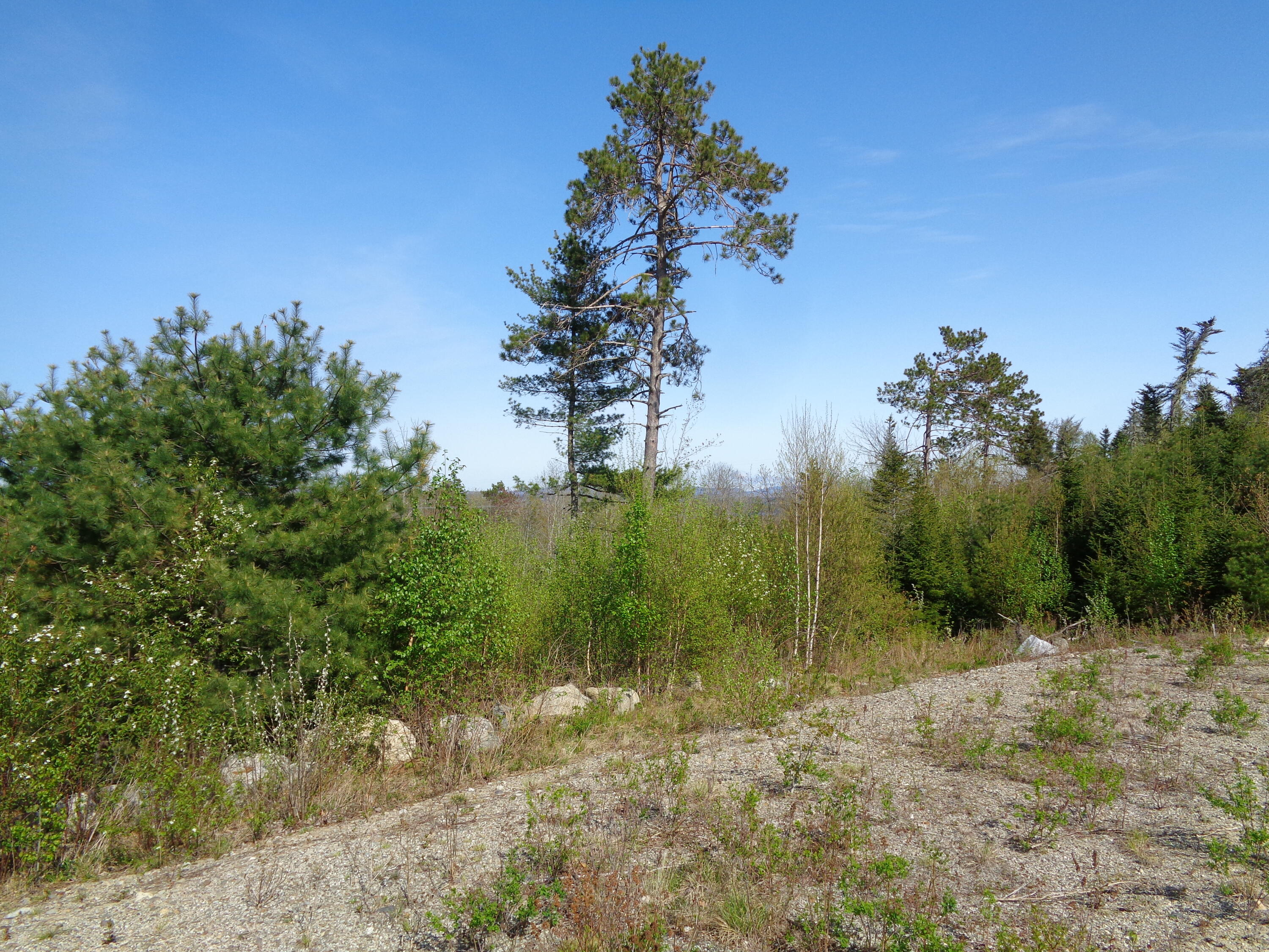 323 Moore Road Ellsworth, ME 04605 - Photo 20 of 28 Views