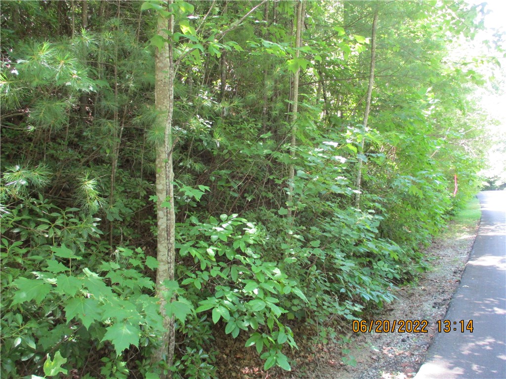 Lot 31 Bay Ridge Salem, SC 29676 - Photo 3 of 7 Gallery Image 3