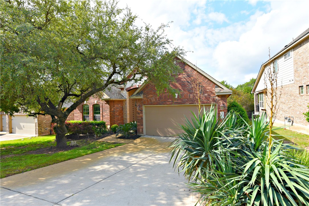 a view of a yard in front of a house with a large tree