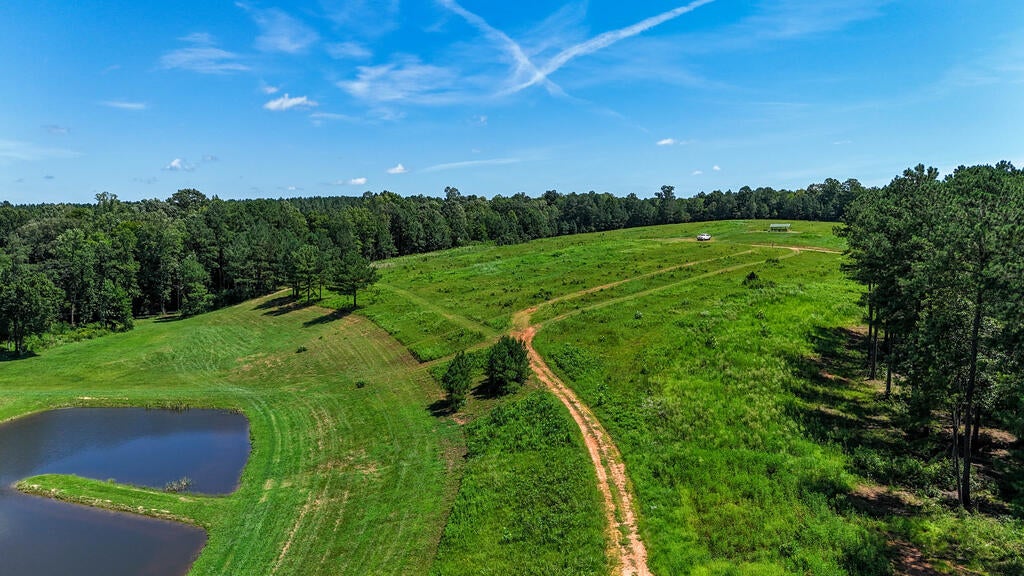 2180 Hutcheson Road Baskerville, VA 23915 - Photo 18 of 68 Gallery Image 18