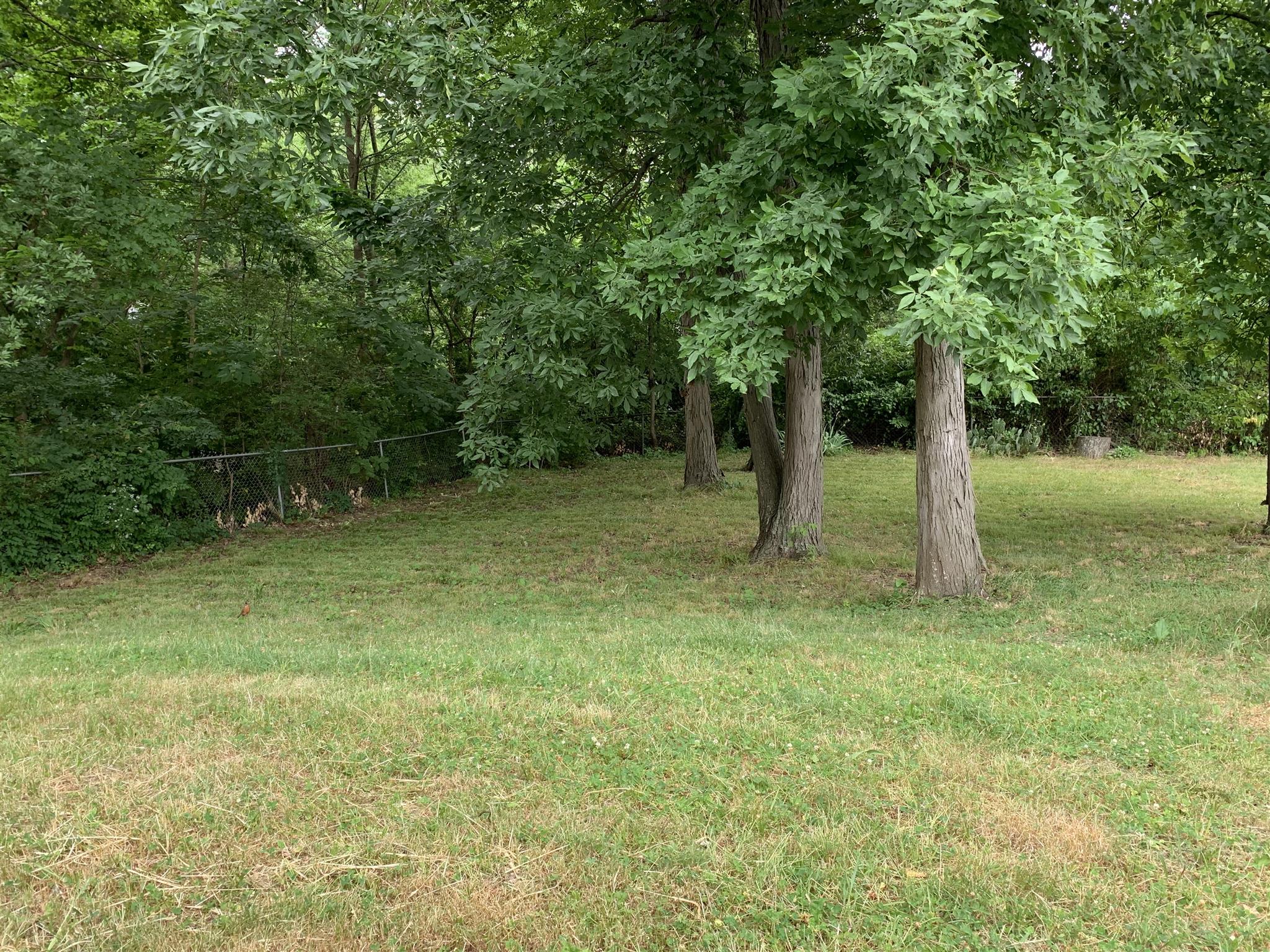 266 Bell Road Nashville, TN 37217 - Photo 15 of 15 Gallery Image 15