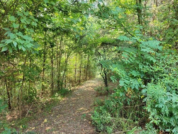 1073 Sunset Way Sevierville, TN 37876 - Photo 24 of 33 F64DF598-A988-43AB-A0E0-45536DE6EC03