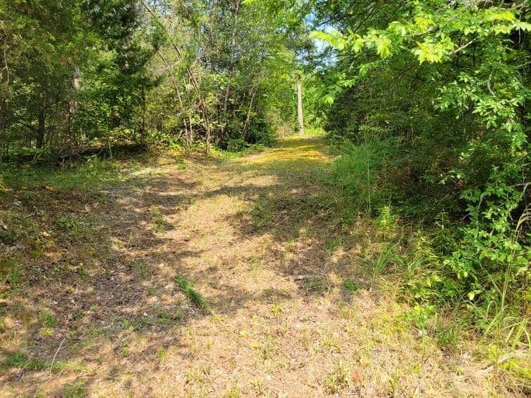 1073 Sunset Way Sevierville, TN 37876 - Photo 27 of 33 B6F34064-A808-4D49-93FE-AE2C0839426D