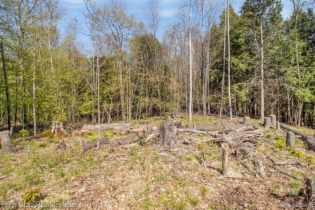 0 Smith Road Onekama, MI 49675 - Photo 14 of 23