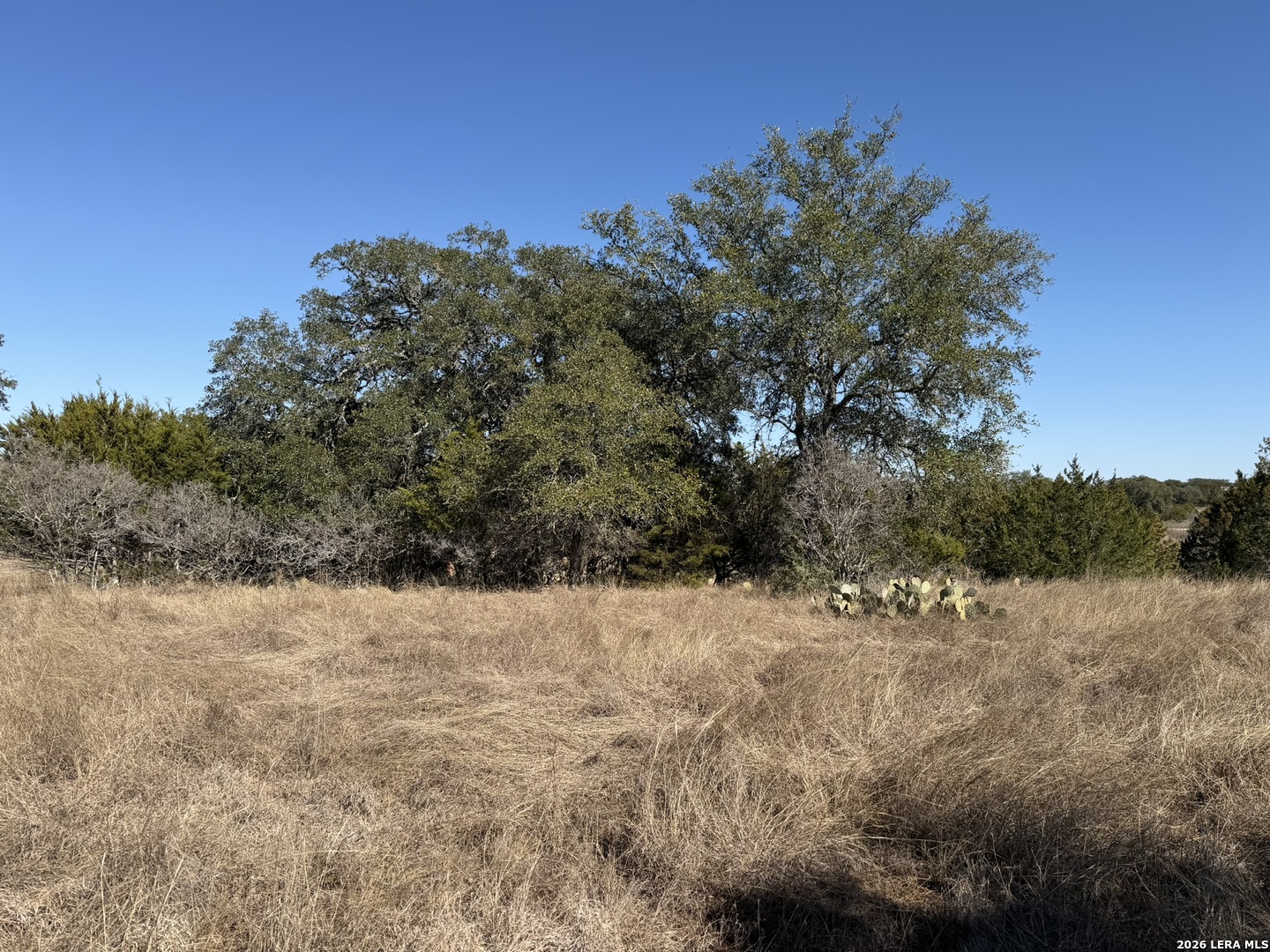 Lot 76 Horseshoe Bandera, TX 78003 - Photo 2 of 10 a view of a yard with a tree