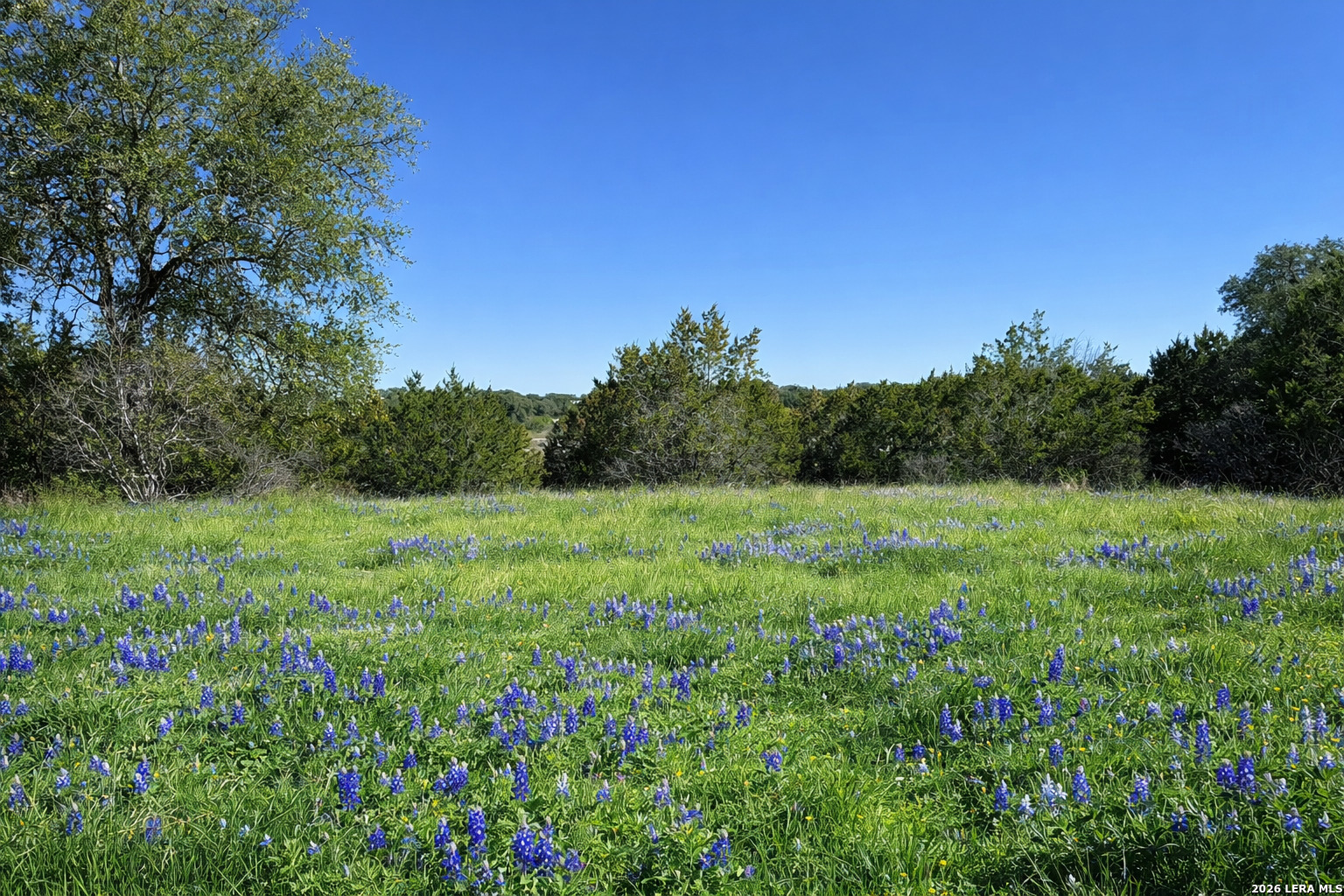 Lot 76 Horseshoe Bandera, TX 78003 - Photo 3 of 10 a view of a lush green space