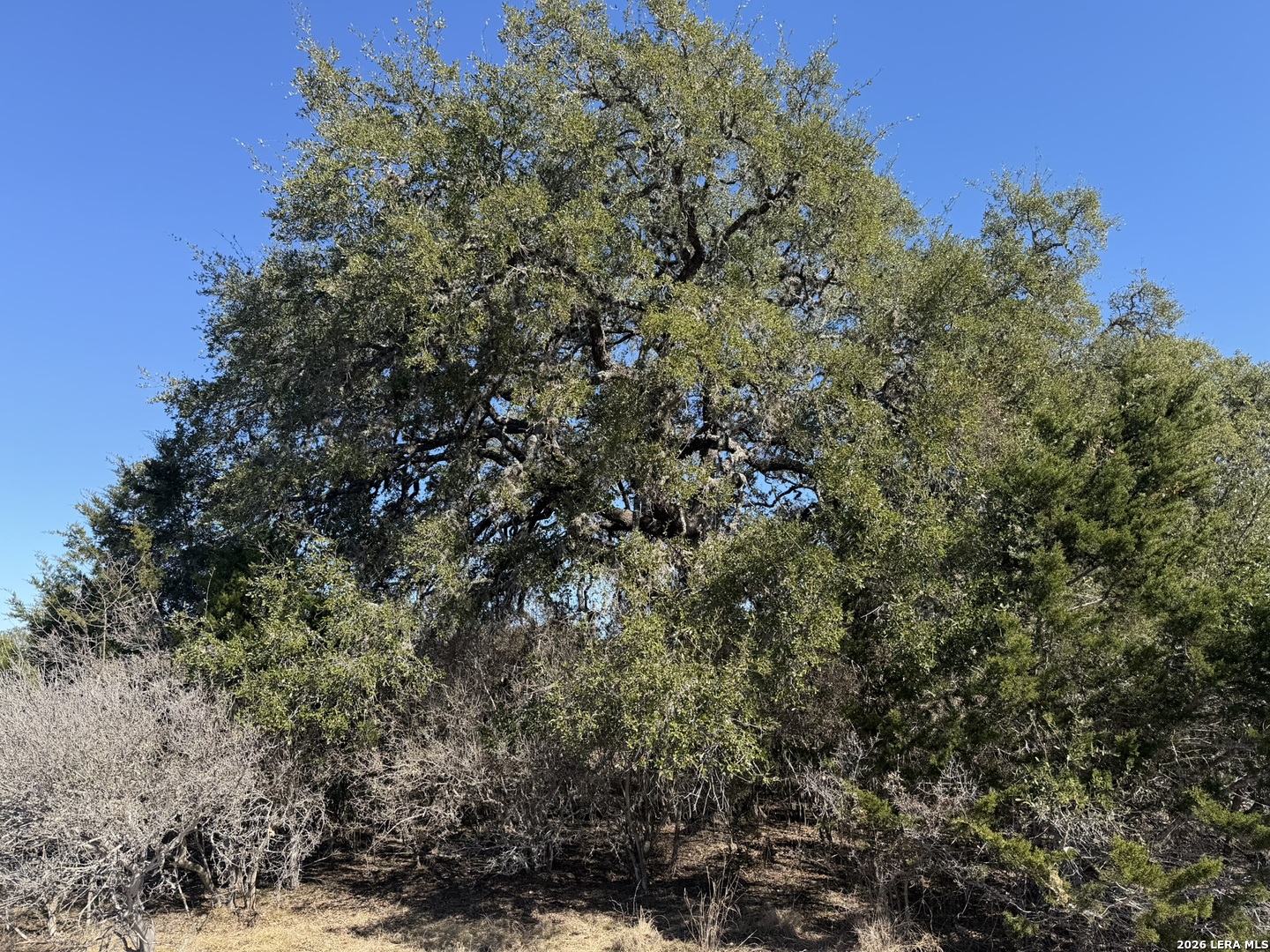 Lot 76 Horseshoe Bandera, TX 78003 - Photo 5 of 10 a view of a city with lush green forest