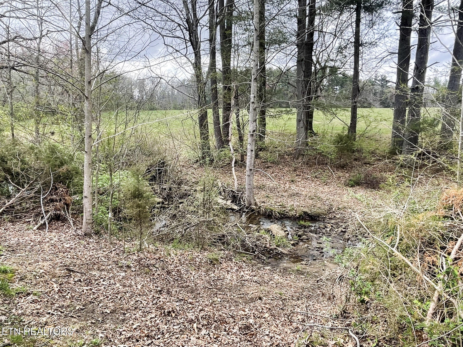 986 Old Mail Road Crossville, TN 38555 - Photo 29 of 29 Gallery Image 29