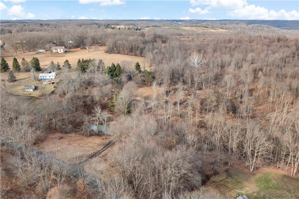 235 Murdocksville Road Clinton, PA 15026 - Photo 11 of 33 a view of a dry yard with trees