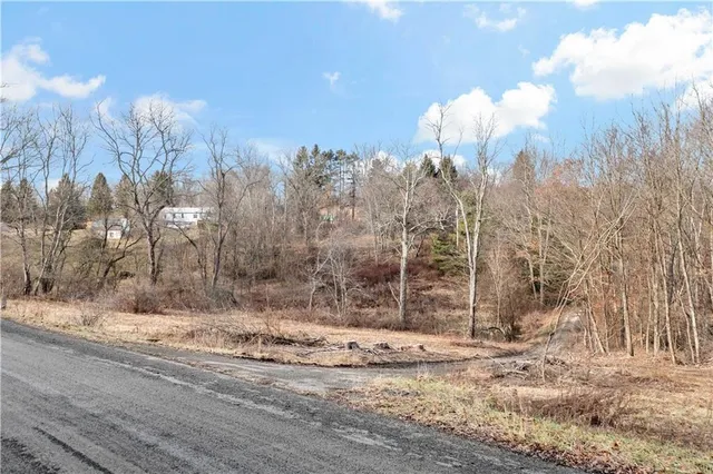 a view of a backyard of the house
