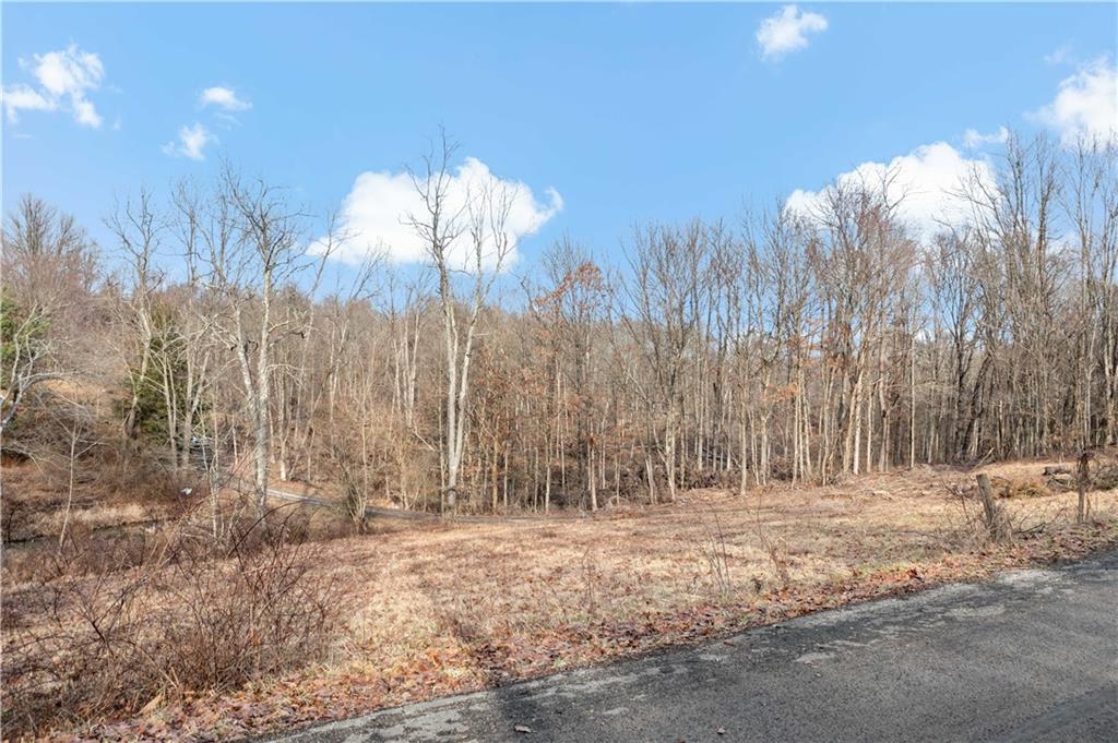 235 Murdocksville Road Clinton, PA 15026 - Photo 14 of 33 a view of open space with green space