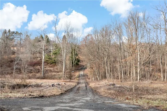 a view of empty yard with trees