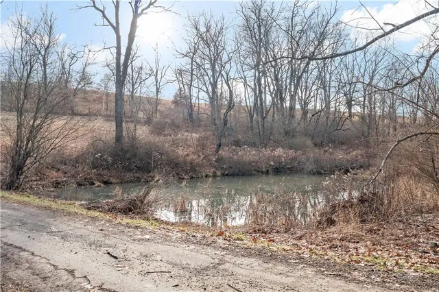 a view of beach and yard