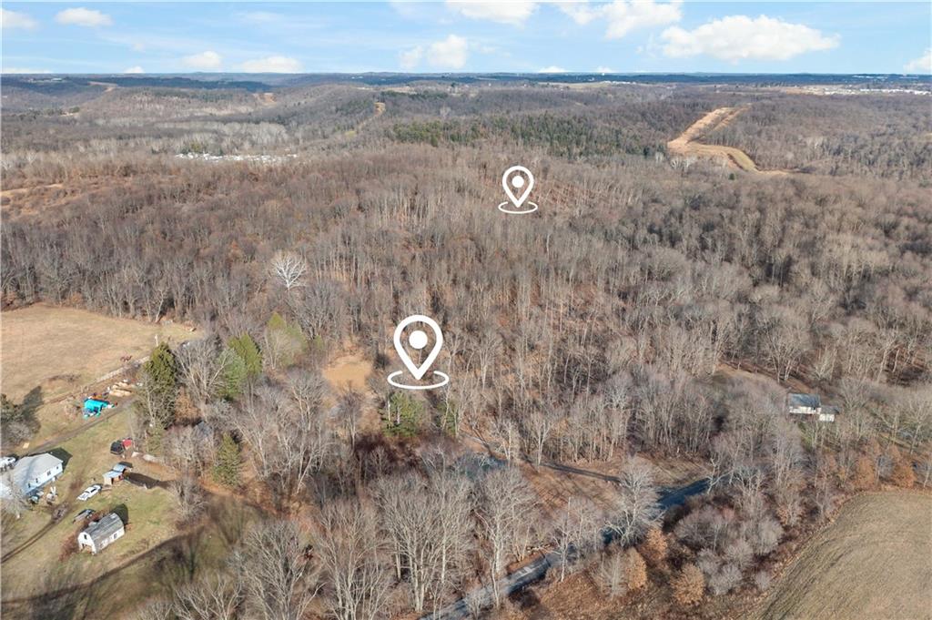 235 Murdocksville Road Clinton, PA 15026 - Photo 19 of 33 a view of a dry plant in a field
