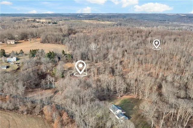 a view of a dry yard