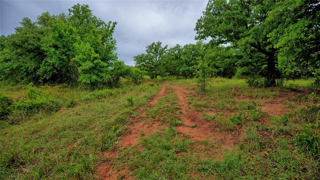 2930 North Greenbrier Road Nocona, TX 76255 - Photo 34 of 40 a view of a lush green forest