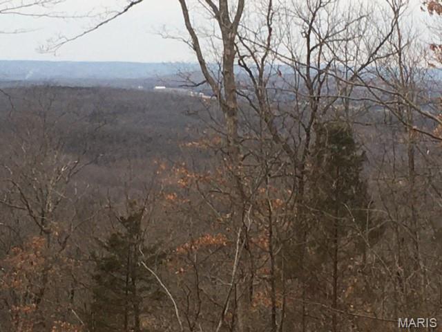 31 Simms Road Park Hills, MO 63601 - Photo 1 of 6