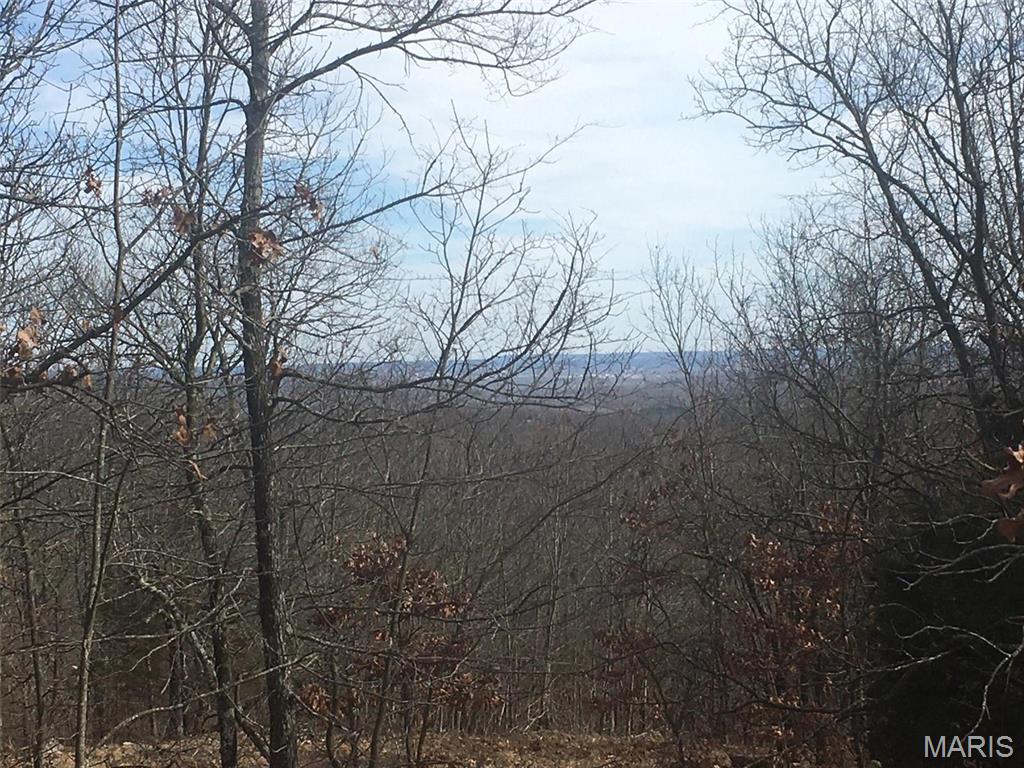 31 Simms Road Park Hills, MO 63601 - Photo 4 of 6