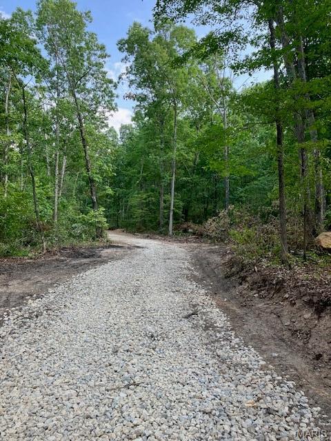 31 Simms Road Park Hills, MO 63601 - Photo 6 of 6