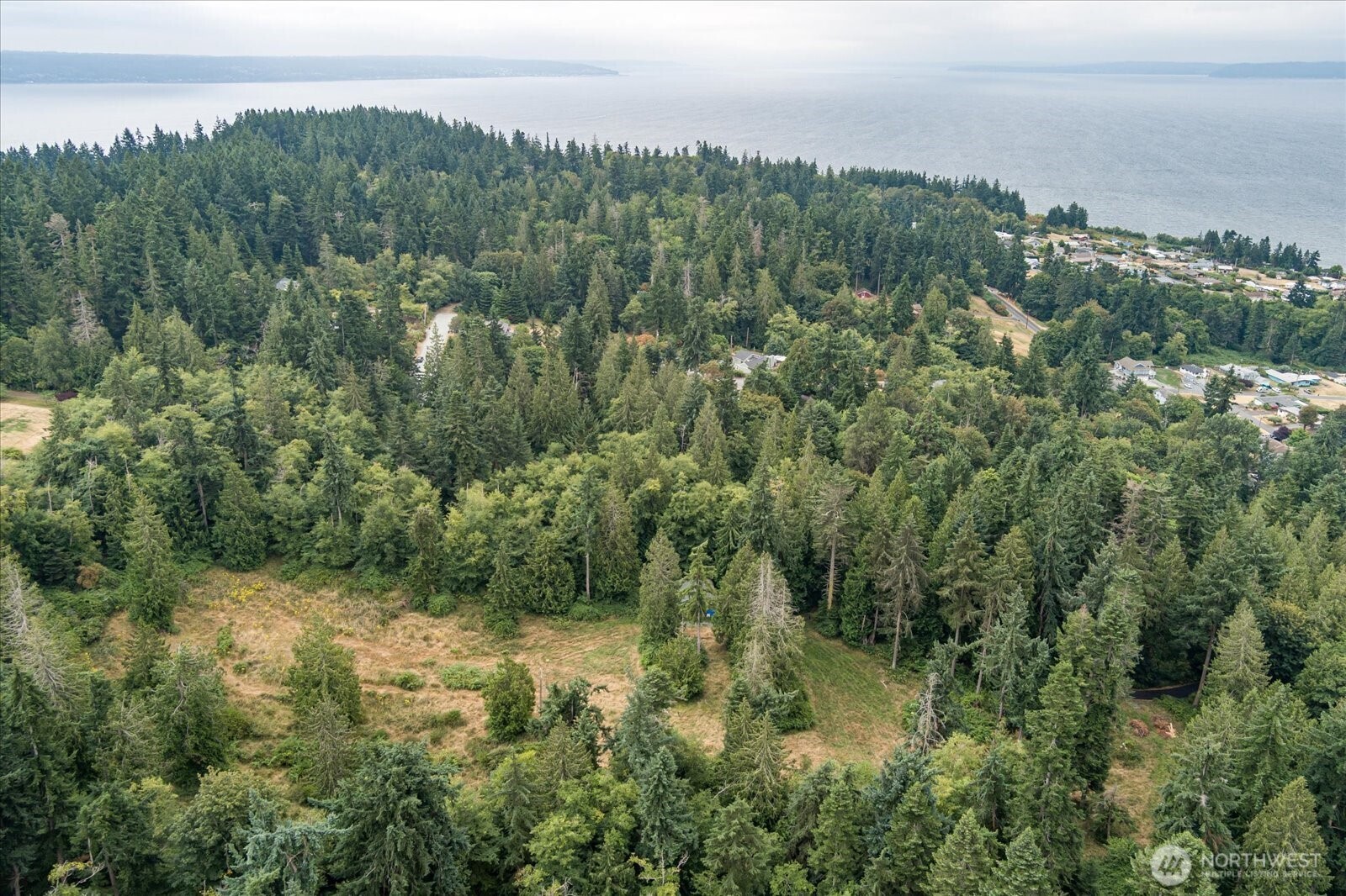 8175 Mossy Rock Road Clinton, WA 98236 - Photo 14 of 27 a view of a forest with a street