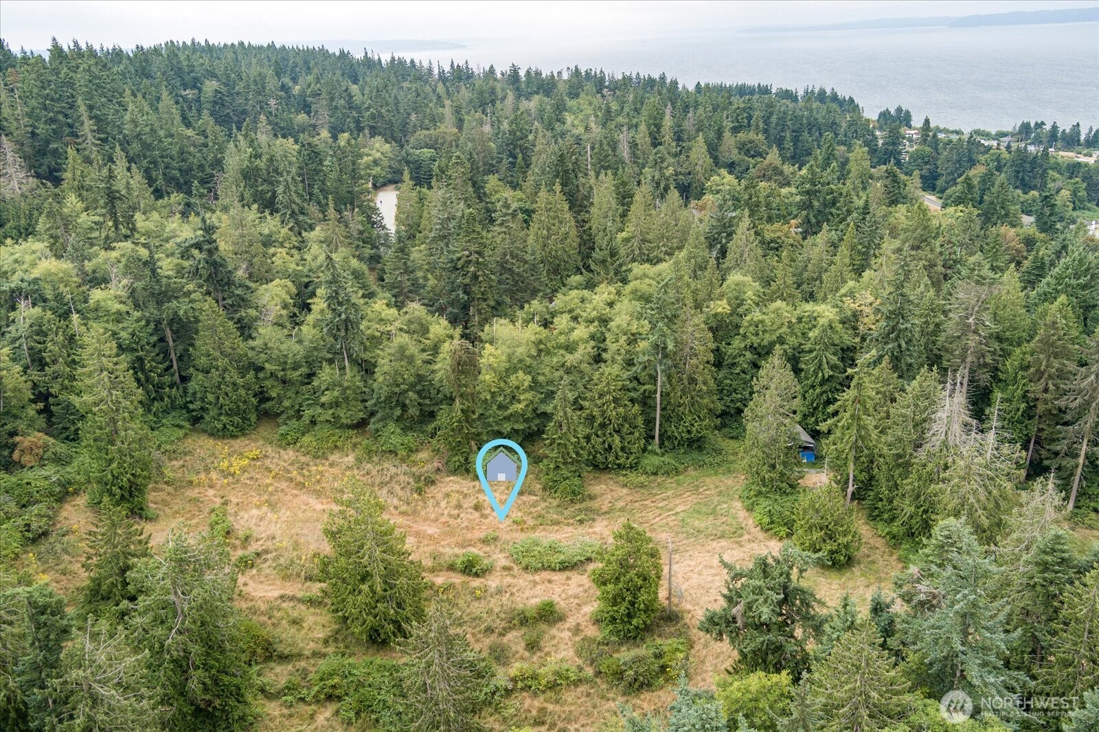 8175 Mossy Rock Road Clinton, WA 98236 - Photo 18 of 27 a view of a forest with a sink