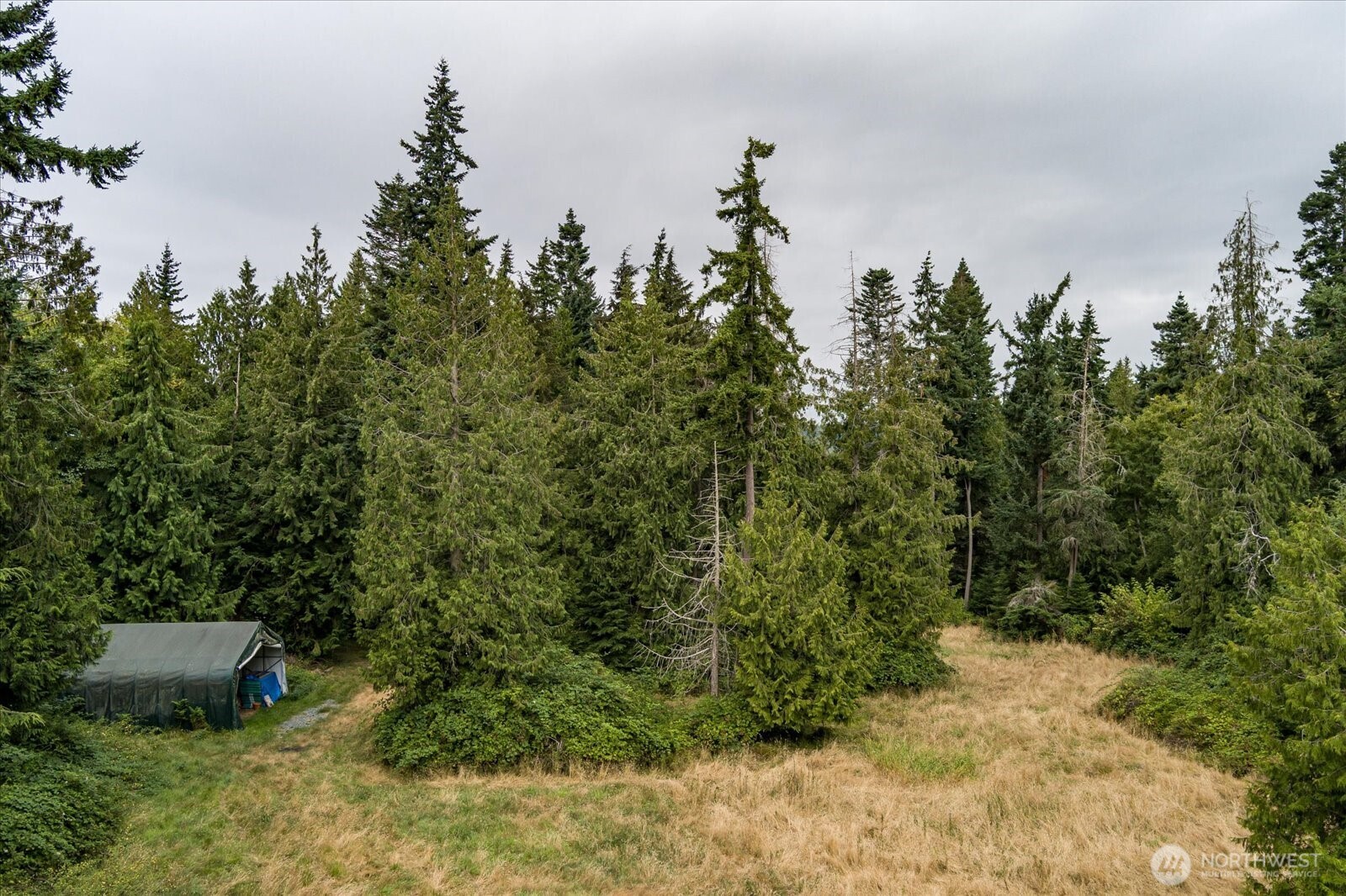 8175 Mossy Rock Road Clinton, WA 98236 - Photo 23 of 27 a view of a field