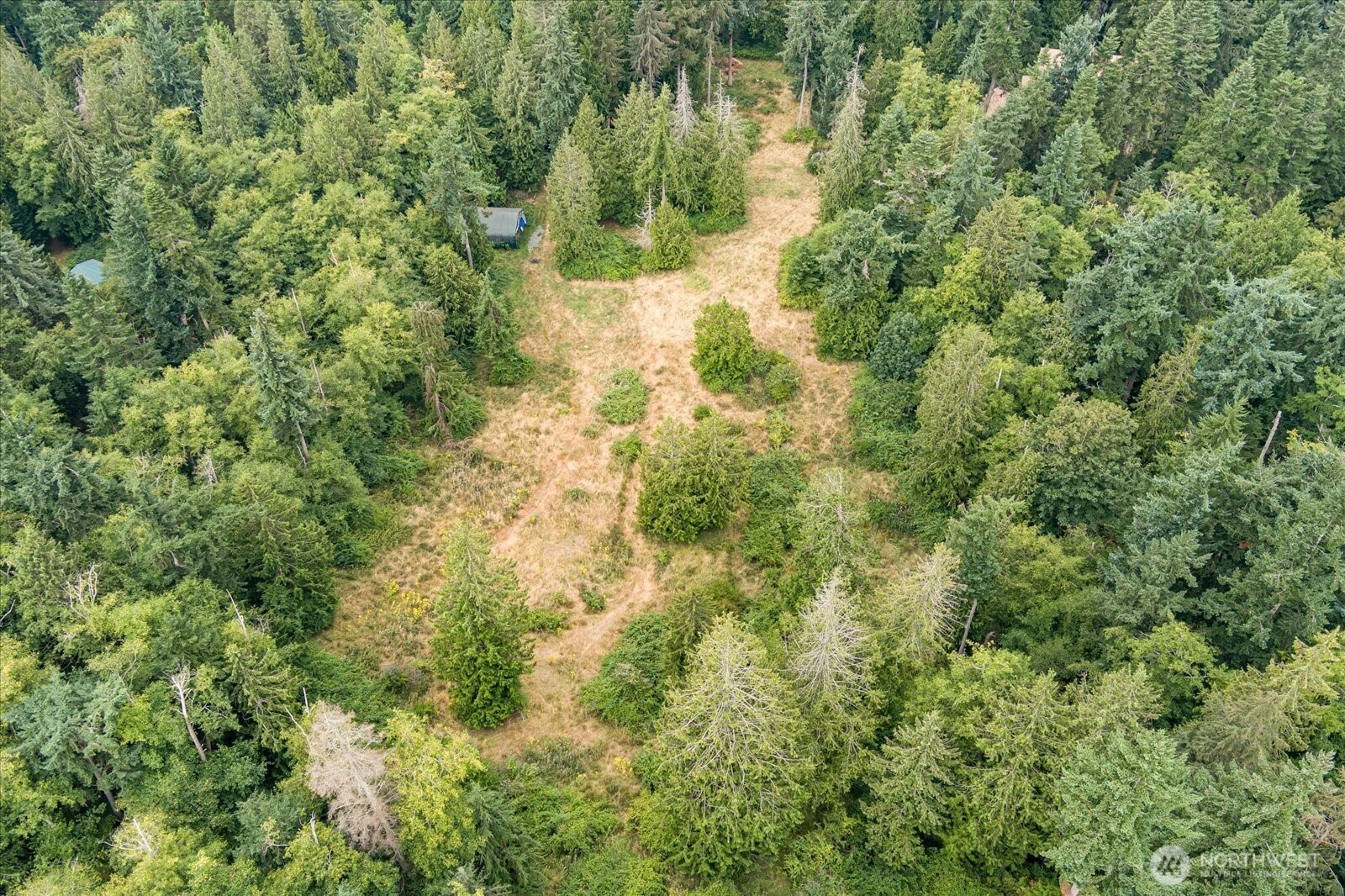 8175 Mossy Rock Road Clinton, WA 98236 - Photo 26 of 27 a view of a yard with plants and trees