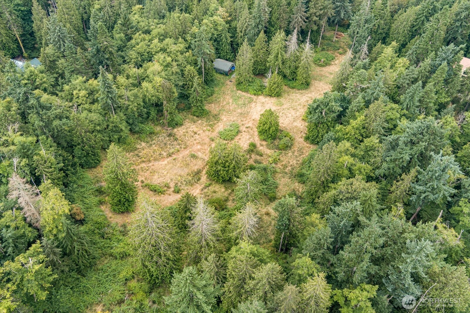 8175 Mossy Rock Road Clinton, WA 98236 - Photo 27 of 27 a view of a forest with a tree