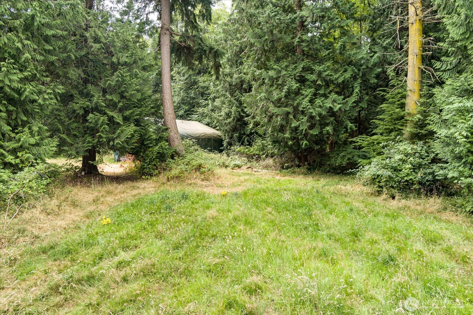 8175 Mossy Rock Road Clinton, WA 98236 - Photo 5 of 27 a backyard of a house with lots of green space and fountain