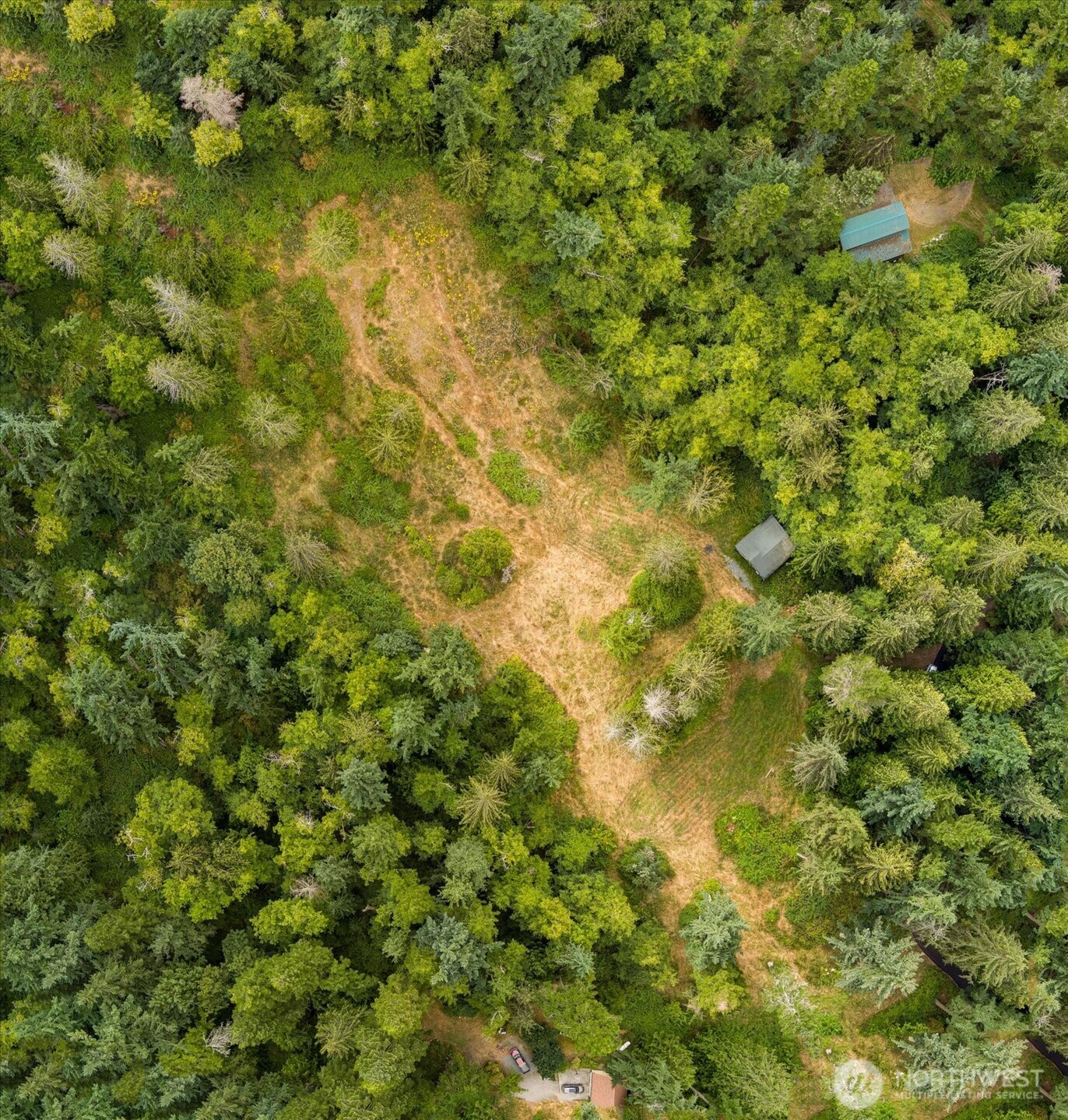 8175 Mossy Rock Road Clinton, WA 98236 - Photo 9 of 27 a view of a bunch of trees in a yard