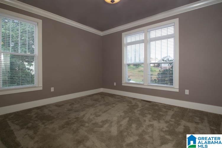 6327 Williams Springs Way McCalla, AL 35111 - Photo 29 of 37