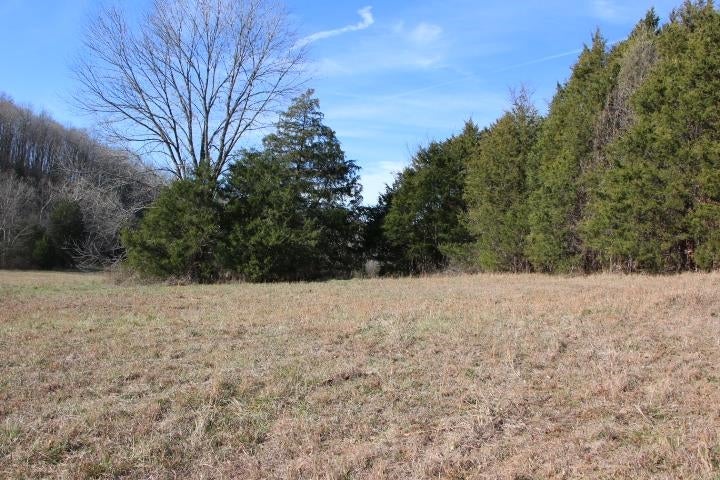 Froedge Dubree Road Summer Shade, KY 42166 - Photo 24 of 37 Gallery Image 24
