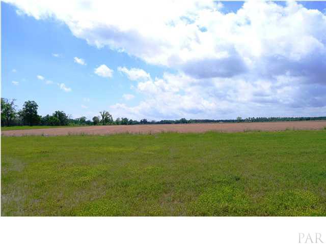 Ten 10 Mile Road Pace, FL 32571 - Photo 1 of 5 @ 60 acres, just north of the soccer complex in Pace. @40 acres of farmland.