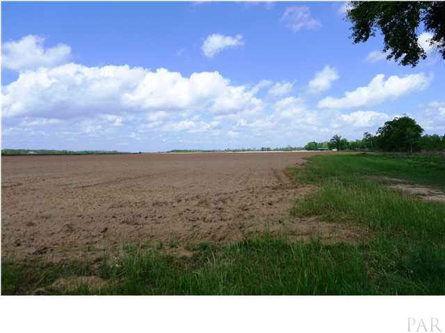 Ten 10 Mile Road Pace, FL 32571 - Photo 4 of 5